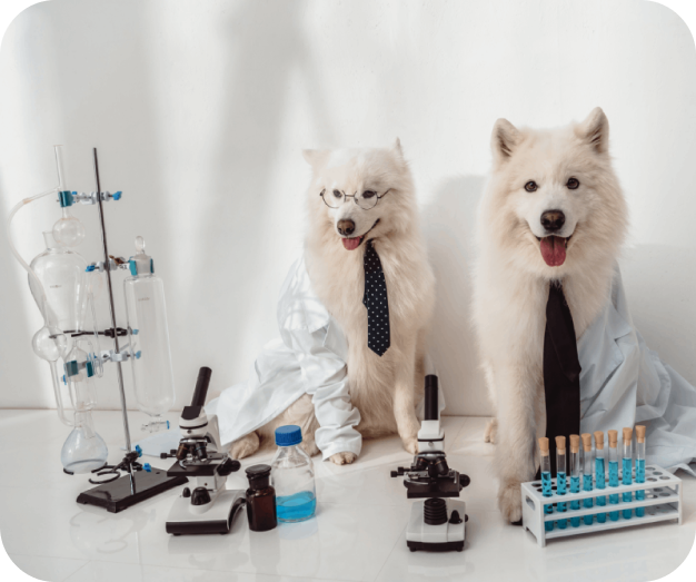 chemist dogs
