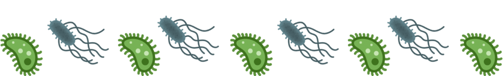 Image of multiple pet parasites in Ord