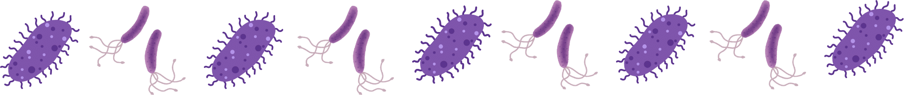Worm animal parasites that Ord Animal Clinic has prevention for in Ord, NE