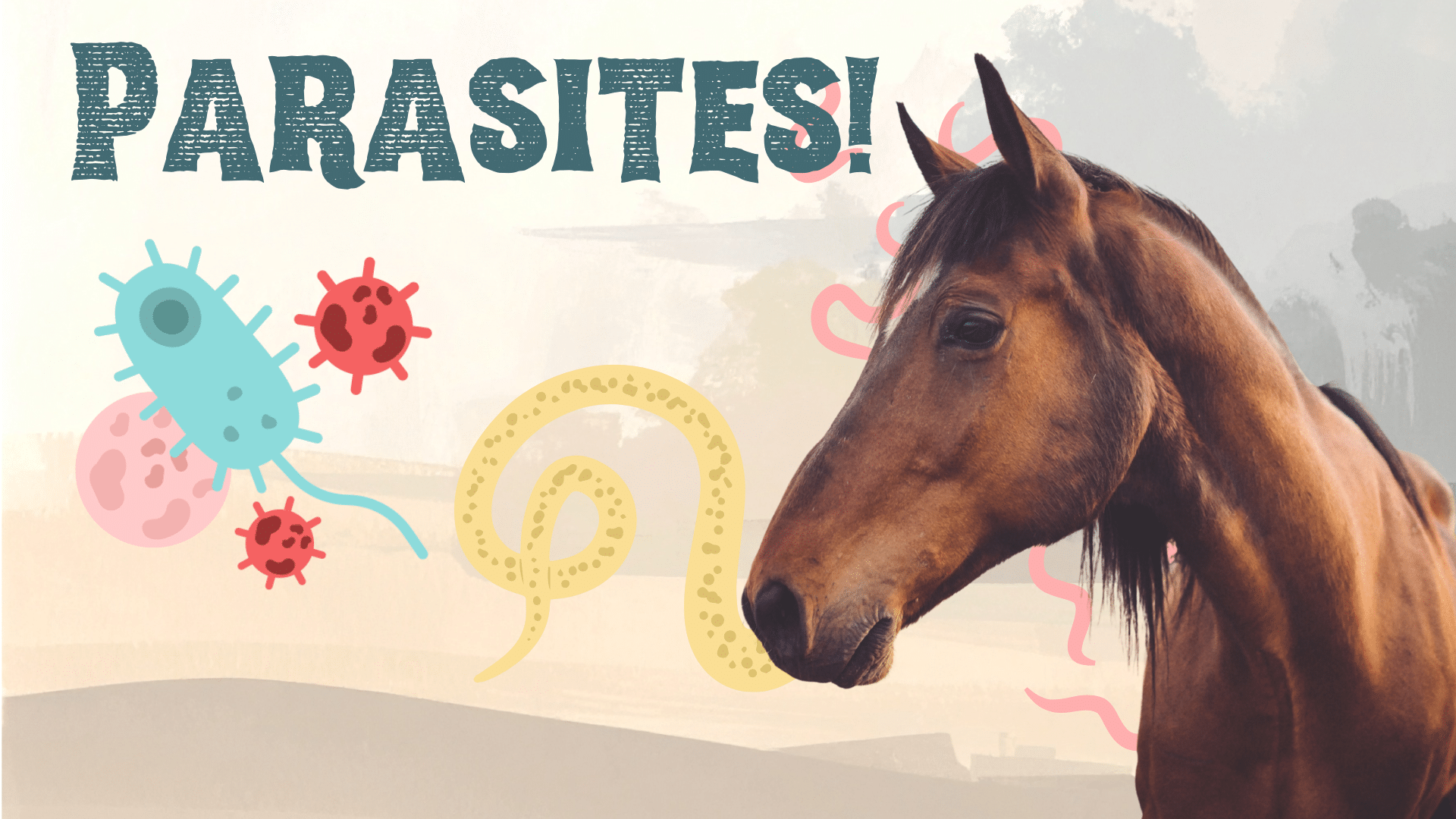 A horse surrounded by parasites in Ord, NE